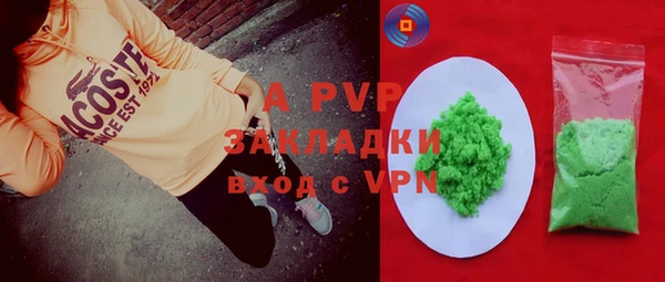 прущие грибы Саяногорск