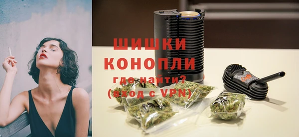 прущие грибы Саяногорск