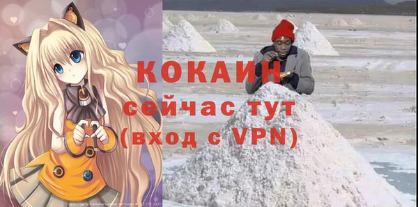 прущие грибы Саяногорск