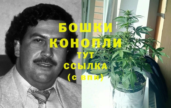 эйфоретик Сафоново