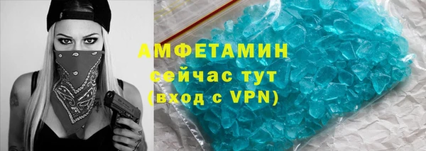 прущие грибы Саяногорск