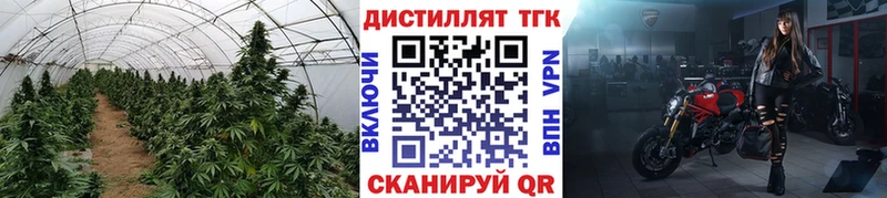 Дистиллят ТГК THC oil  купить   Кадников 