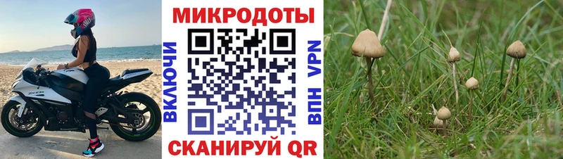 Галлюциногенные грибы MAGIC MUSHROOMS  Кадников 