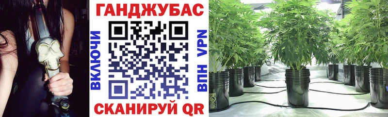 Шишки марихуана планчик  как найти   Кадников 
